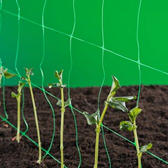 Klimnet voor planten groen 1x10 m 6030429