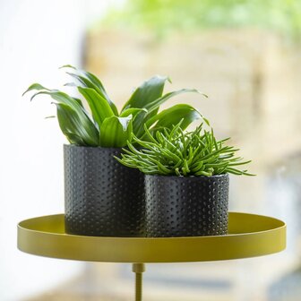 Plantenblad met klem rond L goudkleurig