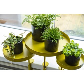 Plantenblad met klem rond L goudkleurig