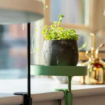 Plantenblad met klem rond S groen