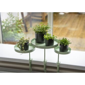 Plantenblad met klem rond M groen