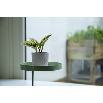 Plantenblad met klem rond M groen