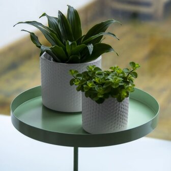 Plantenblad met klem rond L groen