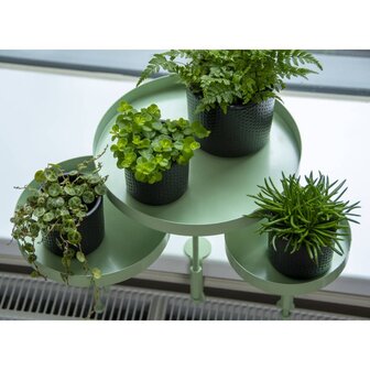 Plantenblad met klem rond L groen