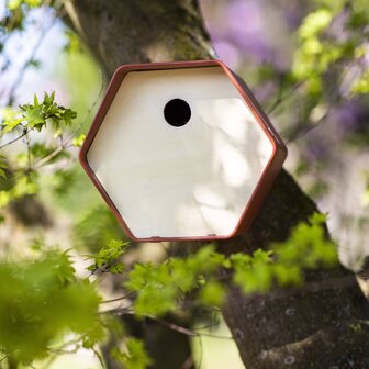 Vogelhuisje Hive 1 rond gat 19x23x20 cm bruin