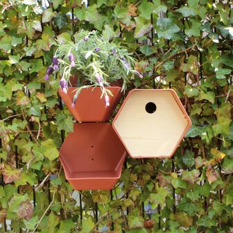 Vogelhuisje Hive 1 rond gat 19x23x20 cm bruin