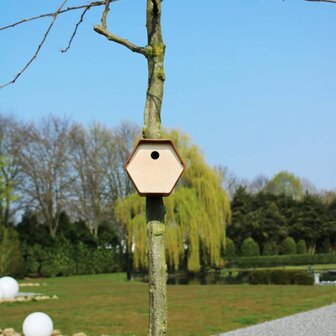 Vogelhuisje Hive 1 rond gat 19x23x20 cm bruin