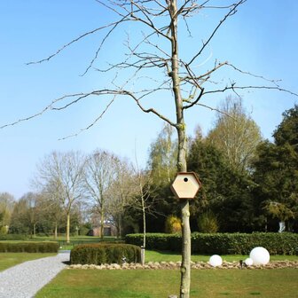 Vogelhuisje Hive 1 rond gat 19x23x20 cm bruin