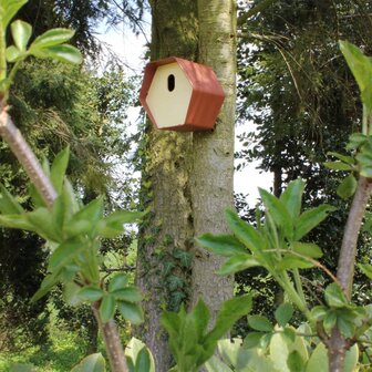 Vogelhuisje Hive 2 ovaal gat 19x23x20 cm bruin