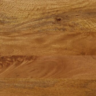 Bankje 160x40x45 cm massief mangohout en ijzer