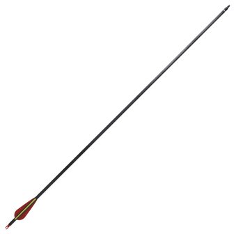 Pijlen voor recurveboog standaard 30&amp;quot; 0,76 cm koolstof 12 stuks