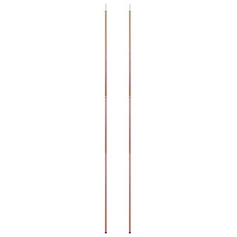 Tentstokken 2 st telescopisch 170-255 cm gegalvaniseerd staal