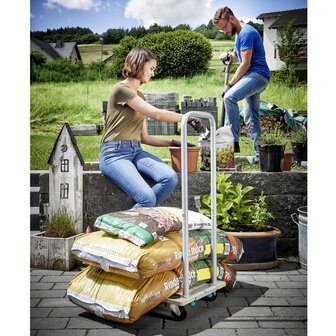 5-in-1 Meubel hondje met handgreep FT350B 5548000