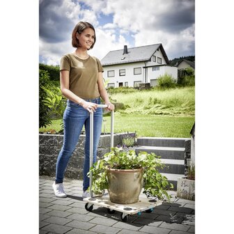 5-in-1 Meubel hondje met handgreep FT350B 5548000