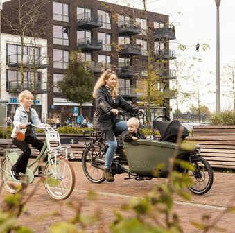 Steco Mini-Mee Autostoel In Bakfiets Matzwart