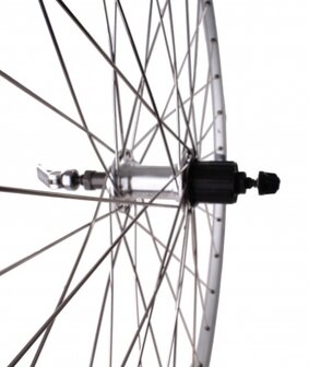 Roland Achterwiel Ryde Chrina 28 Inch 7V 36G Velgrem Zilver