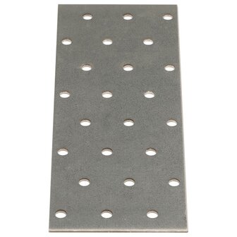 Platen geperforeerd 40 st 2 mm 160x60 mm gegalvaniseerd staal