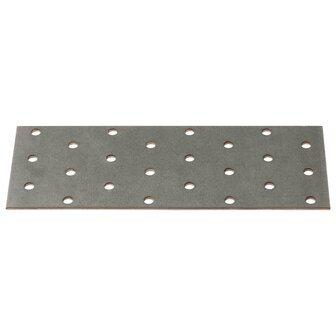 Platen geperforeerd 40 st 2 mm 160x60 mm gegalvaniseerd staal