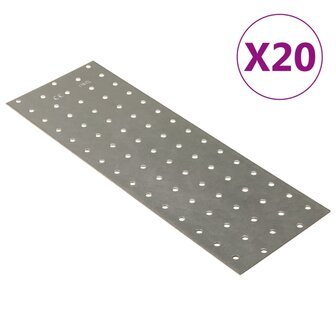 Platen geperforeerd 20 st 2 mm 300x100 mm gegalvaniseerd staal