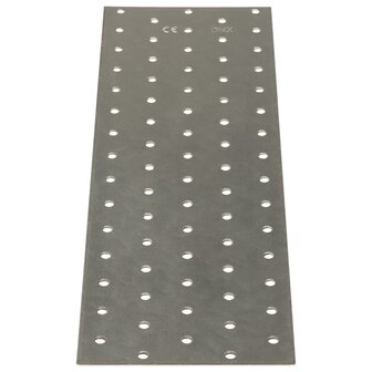 Platen geperforeerd 20 st 2 mm 300x100 mm gegalvaniseerd staal