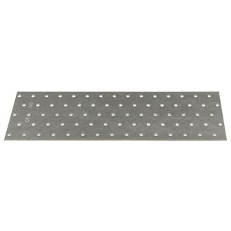 Platen geperforeerd 20 st 2 mm 300x100 mm gegalvaniseerd staal