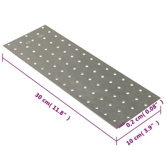 Platen geperforeerd 20 st 2 mm 300x100 mm gegalvaniseerd staal