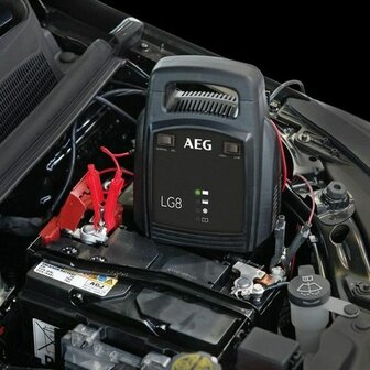 Aeg Batterijoplader Aeg Lg8 12 V