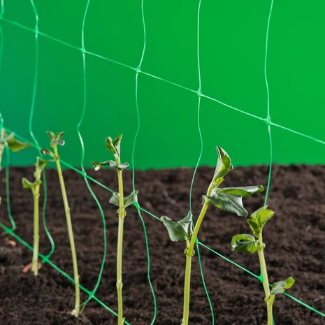 Klimnet voor planten groen 1x10 m 6030429