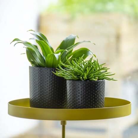 Plantenblad met klem rond L goudkleurig