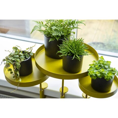 Plantenblad met klem rond L goudkleurig