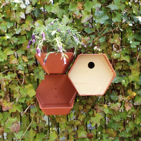 Vogelhuisje Hive 1 rond gat 19x23x20 cm bruin