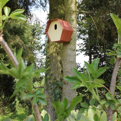Vogelhuisje Hive 2 ovaal gat 19x23x20 cm bruin