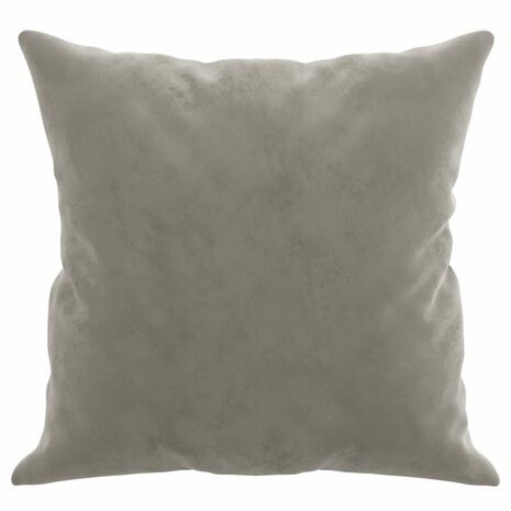 Sierkussens 2 st 40x40 cm fluweel lichtgrijs