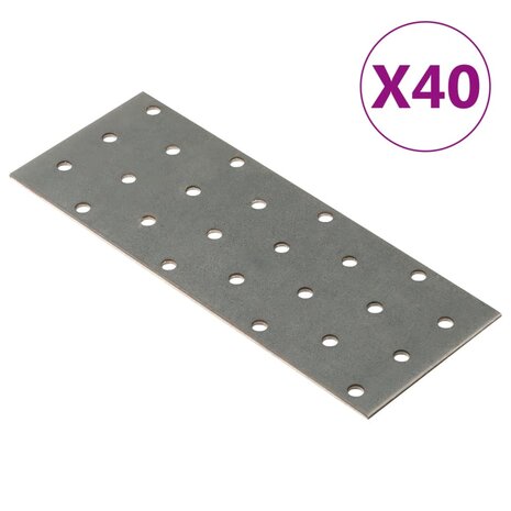 Platen geperforeerd 40 st 2 mm 160x60 mm gegalvaniseerd staal