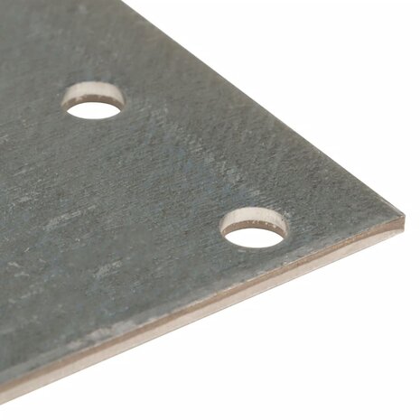 Platen geperforeerd 40 st 2 mm 160x60 mm gegalvaniseerd staal