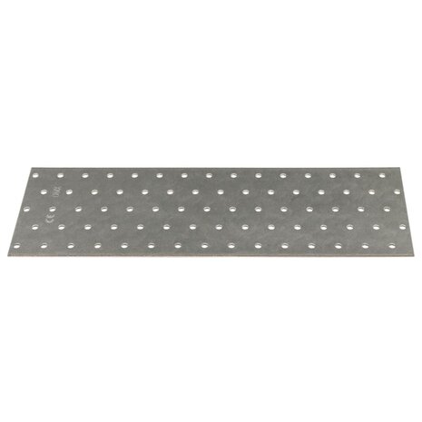 Platen geperforeerd 20 st 2 mm 300x100 mm gegalvaniseerd staal
