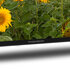 Thomson 32HA2S13 Smart Android HD TV 32 Inch Zwart_